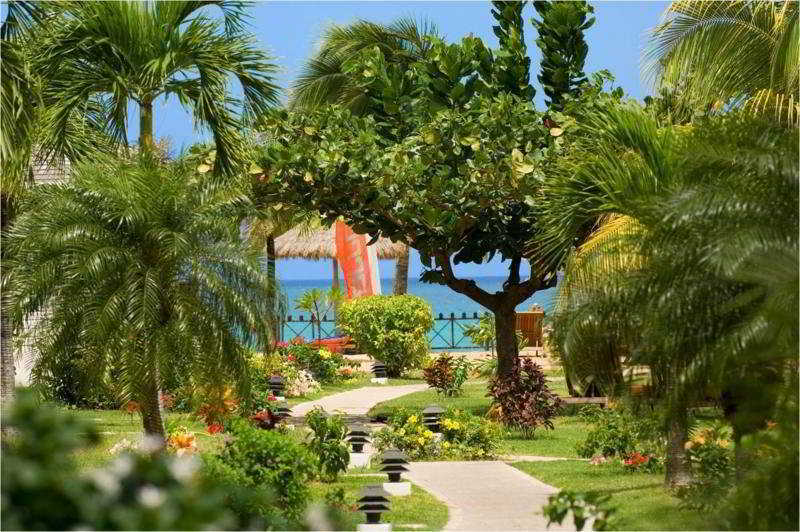 Coyaba Beach Resort St. George's Facilités photo