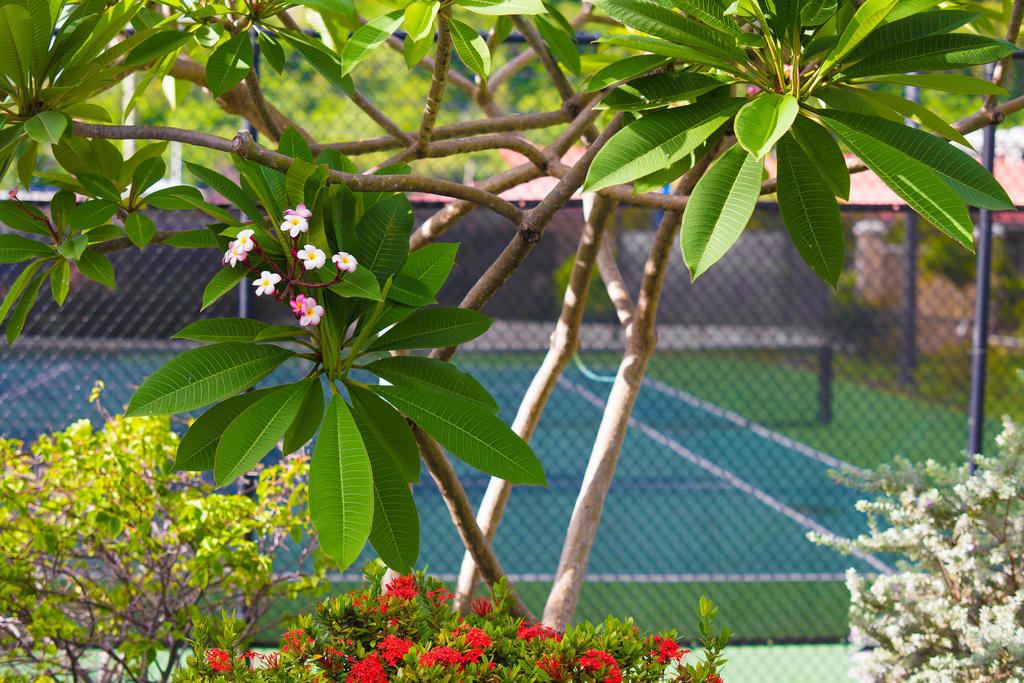 Coyaba Beach Resort St. George's Extérieur photo